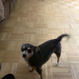 Meet your Posher, Michelle